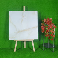 Gạch nhập khẩu 800x800mm TP8008