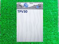 Gạch ốp lát 25x40 TPV30