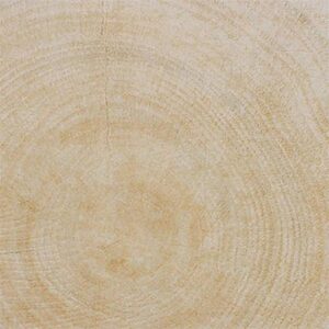 Gạch ốp lát Vietceramics 60ABE