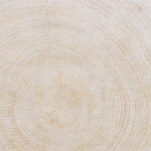 Gạch ốp lát Vietceramics 60ABO