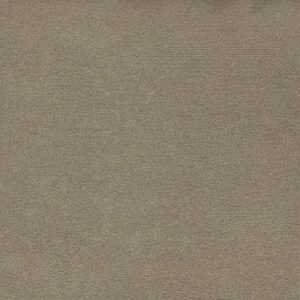 Gạch ốp lát Vietceramics 60GTS02