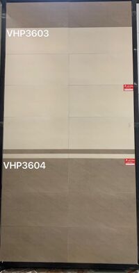 Gạch ốp lát Viglacera 30×60 VHP3604