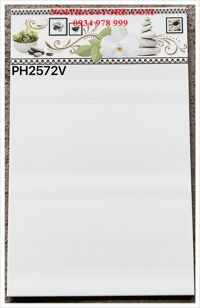 Gạch ốp tường 25x40 PH2572