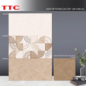 Gạch ốp tường 30×60 TTC DM36009