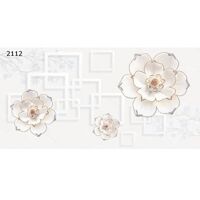 Gạch ốp tường 30×60 Vitto 2112
