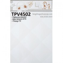 Gạch ốp tường 30x45 TPV4502