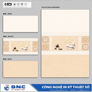 Gạch ốp tường 30x60 BNC 3610-11D-12