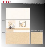 Gạch ốp tường 30x60 TTC DB36075