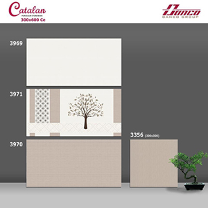 Gạch ốp tường Catalan 30x60 3969