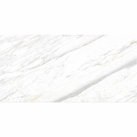 Gạch ốp tường Eurotile 60×120 SIG-P61201