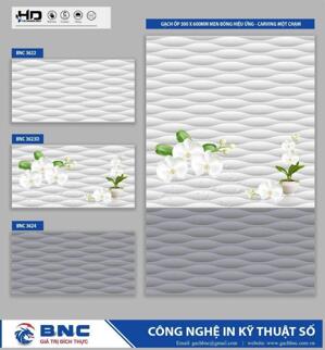 Gạch ốp tường giá rẻ 30x60 BNC 3624