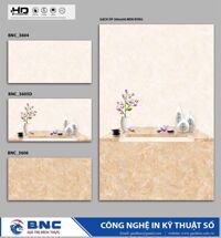 Gạch ốp tường giá rẻ 30x60 BNC 3606