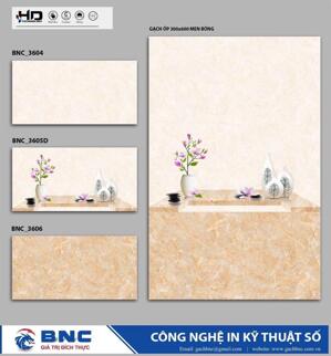 Gạch ốp tường giá rẻ 30x60 BNC 3606