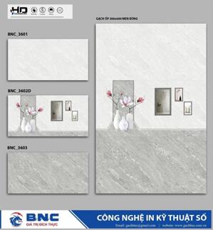 Gạch ốp tường giá rẻ 30x60 BNC 3601