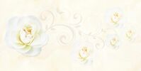 Gạch ốp tường Prime 8242 40x80