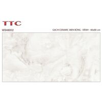 Gạch ốp tường TTC WB48002 40x80
