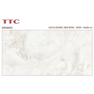 Gạch ốp tường TTC WB48002 40x80