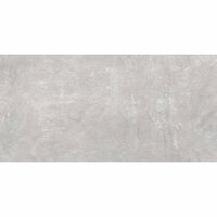 Gạch ốp tường Viglacera 30×60 PH3641