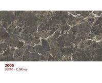 Gạch ốp tường Vitto 30x60 2005