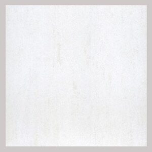 Gạch Taicera 40×40 G48925ND