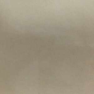 Gạch Taicera 60x60 P67542N1