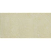 Gạch Taicera PC600x298-543N
