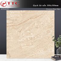 Gạch TTC 30x30 CT33201