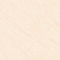 Gạch TTC 600×600 FM66004