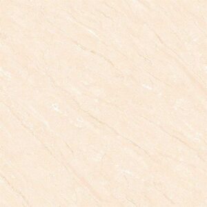 Gạch TTC 600×600 FM66004