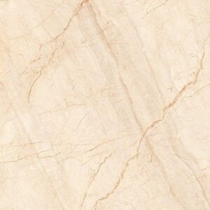 Gạch TTC Porcelain PN66027 800×800