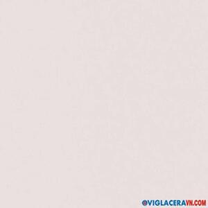 Gạch Viglacera 60x60cm BN601