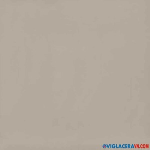 Gạch Viglacera 80×80 TS6-801