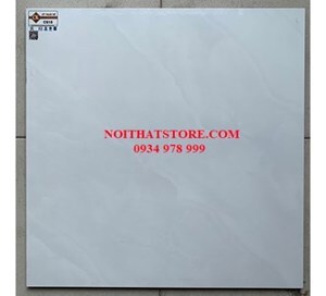 Gạch Ý Mỹ 60x60 C618