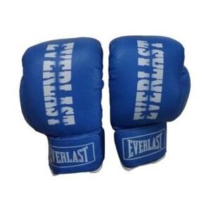 Găng tay tập boxing Everlast L2