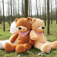 gấu teddy lớn 2220