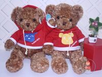 gấu teddy mặc áo có nón