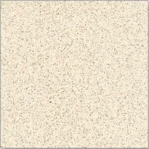 Ggạch granite Thanh Thanh 60x60 SB6038