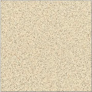 Ggạch granite Thanh Thanh 60x60 SB6030