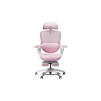 Ghế công thái học Epione Easy Chair Blossom