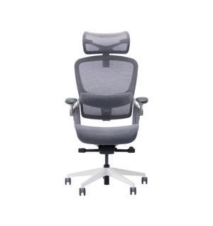 Ghế công thái học Epione Easy Chair 2.0