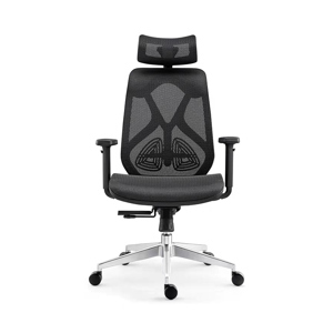 Ghế công thái học Ergonomic HBADA 10