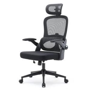 Ghế công thái học Ergonomic Sihoo M102C