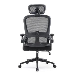 Ghế công thái học Ergonomic Sihoo M102C