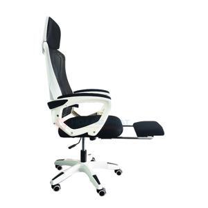 Ghế công thái học Ergonomic TMS06