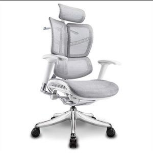 Ghế công thái học Ergonomic Vchair Evolution