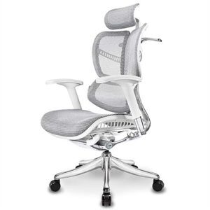 Ghế công thái học Ergonomic Vchair Evolution