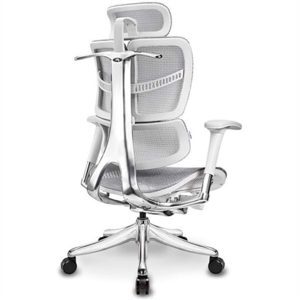 Ghế công thái học Ergonomic Vchair Evolution