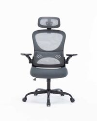 Ghế công thái học ergonomic Warrio WEC501