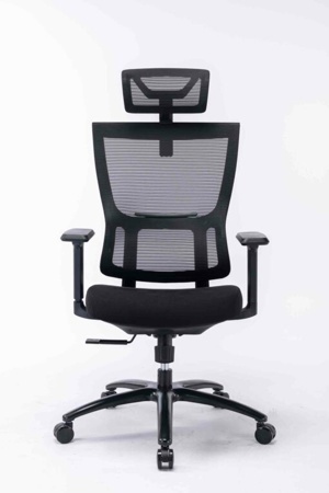 Ghế công thái học ergonomic Warrio WEC506v2