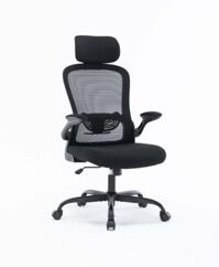 Ghế công thái học ergonomic Warrio WEC105